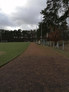 Laufbahn